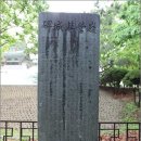 영영축성비 이미지