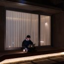 제주애단비 마주 이미지