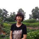 기순농장 네이버블로그