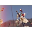 범도오토캠핑장 이미지