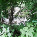 개울옆길 이미지