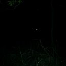 인광농장 이미지