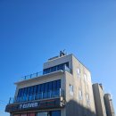 멍멍이 집 | 강릉애견동반펜션 오션뷰 수영장 케이풀빌라 101호