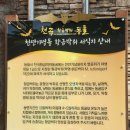 동해시-25 이미지