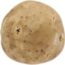 돈 탐나 이미지