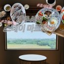 스테이마르하바