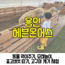 경인동물농장 이미지