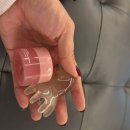 신세계파주만다리나덕 | 4월 1-2주 한국 일상
