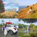 용호로5번길(3-169) | 제주도 렌트카 추천 가격비교 카모아 제주 렌트카 후기