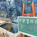 다담보이차 이미지