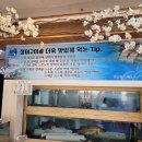 회랑장어랑 이미지