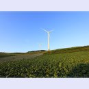 매봉산 바람의언덕 이미지