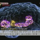 안면상회 이미지