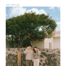 제주이즈 | [국내/제주도] 연말 3박 4일 겨울 제주 여행 4탄 🎄🌴 (아사라베이커리(두쫀쿠)/뉴월사진관/알이즈웰)