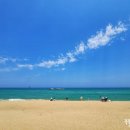 입촌농장 이미지