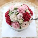 아르미케이크 이미지