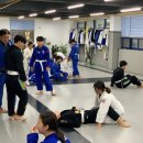 미르 주짓수 유도관 이미지