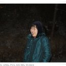 사계펜션 - 문경시 상내1길 138-88 | 사계펜션