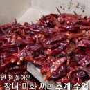 신광떡방앗간 - 여주시 여양로 1483 | 신광떡방앗간