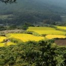 슬로시티청산도 이미지