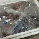 밥반찬추천 겉절이 파김치 주문배송 전주진김치