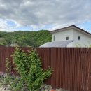 스테이느릿 이미지