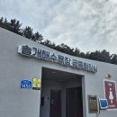 대바위 | 아이랑 부산 근교 울주 솔개해수욕장 대바위공원 진하해수욕장