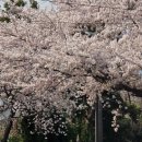 호근서호로 이미지