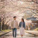 온천천일대10 | 2026 부산 온천천 벚꽃 실시간 개화 상황 및 유채꽃 산책 코스 총정리