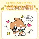 댕댕미미 네이버블로그