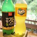 로뎀펜션민박 | 펜션/가평 계곡 펜션 추천/가평 계곡 민박 추천/명지계곡 민박 물소리펜션/로뎀나무펜션/가평 물소리...