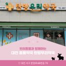 탄방우리약국 이미지