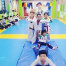 경희대파란태권도체육관 이미지