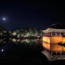 경주 여행 : 현지인 맛집 경주터미널 근처, 택시기사님 추천받고 간 경주 장군암소숯불