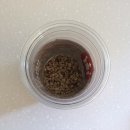 소나무정형외과의원 이미지