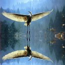 모래시계의원 이미지