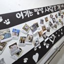 평생 사랑할 개 이미지