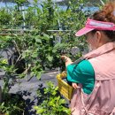 남평농장 이미지