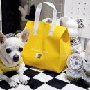 우월한 탄산 이미지