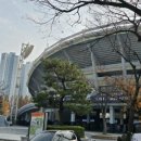 종합운동장 메타세콰이어길 이미지