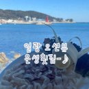 은성횟집 | <부산/기장> 기장 일광 오션뷰 횟집 나만 알고싶은 숨은 뷰맛집 노상맛집 은성횟집 내돈내산 후기