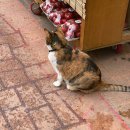 사임당로18길 18 이미지