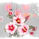 보태니컬 일러스트 이미지