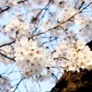 앞산카페거리 이미지