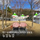 소망애견 | 양산 애견카페 누꼬누꼬 이색 실내와 천연잔디 운동장