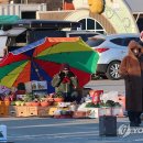 남대천새벽시장 이미지