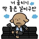 1872 핀 네이버블로그