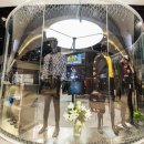 신원대로-8 이미지