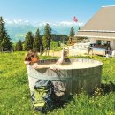 하이디코리아 이미지