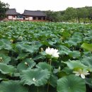 칼국수 마당 이미지